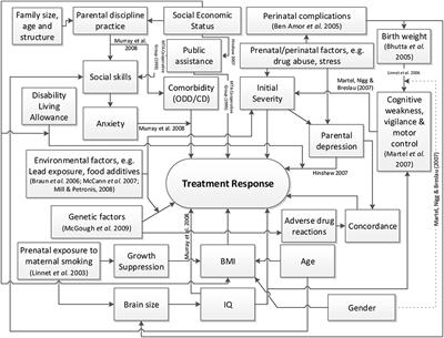 Personalized Medication Response Prediction for Attention-Deficit Hyperactivity Disorder: Learning in the Model Space vs. Learning in the Data Space